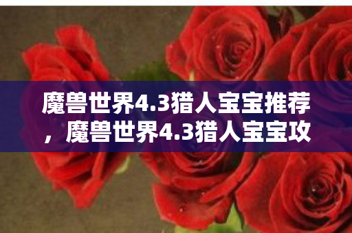 魔兽世界4.3猎人宝宝推荐，魔兽世界4.3猎人宝宝攻略，掌握最佳伙伴的技能与天赋