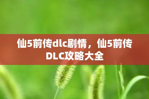 仙5前传dlc剧情，仙5前传DLC攻略大全