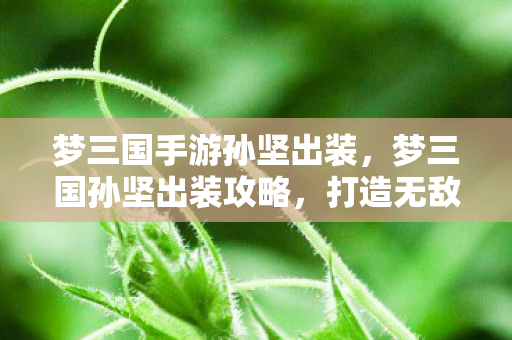 梦三国手游孙坚出装，梦三国孙坚出装攻略，打造无敌英雄装备组合