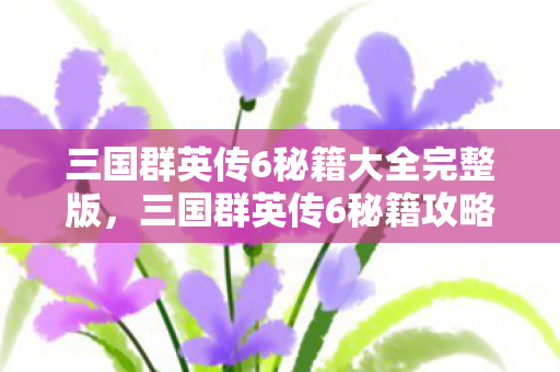 三国群英传6秘籍大全完整版，三国群英传6秘籍攻略，征服乱世之必备宝典