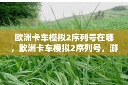欧洲卡车模拟2序列号在哪，欧洲卡车模拟2序列号，游戏世界的独特通行证