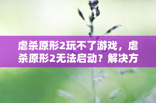 虐杀原形2玩不了游戏，虐杀原形2无法启动？解决方法与游戏优化建议