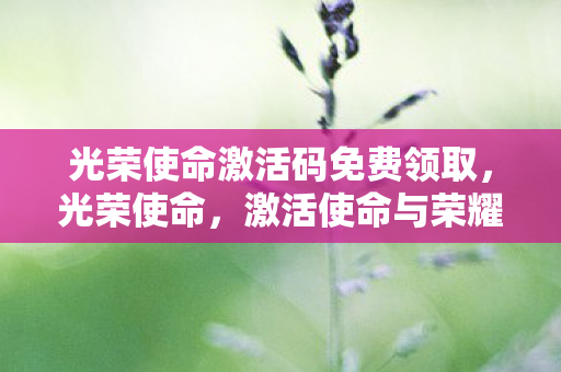光荣使命激活码免费领取，光荣使命，激活使命与荣耀