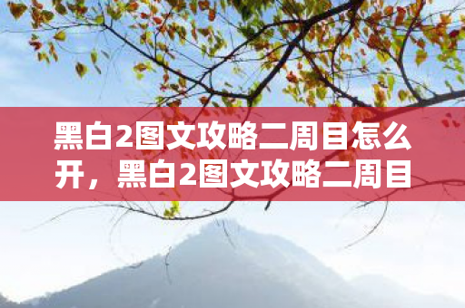 黑白2图文攻略二周目怎么开，黑白2图文攻略二周目，深入探索游戏世界