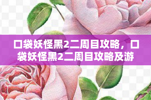 口袋妖怪黑2二周目攻略，口袋妖怪黑2二周目攻略及游戏心得分享