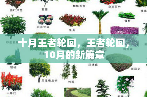 十月王者轮回，王者轮回，10月的新篇章