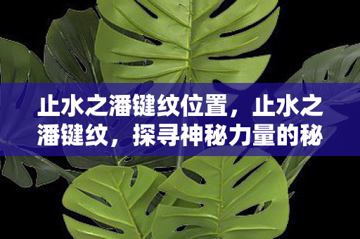 止水之潘键纹位置，止水之潘键纹，探寻神秘力量的秘密