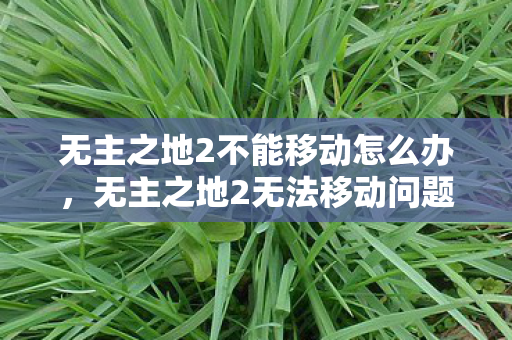 无主之地2不能移动怎么办，无主之地2无法移动问题解析