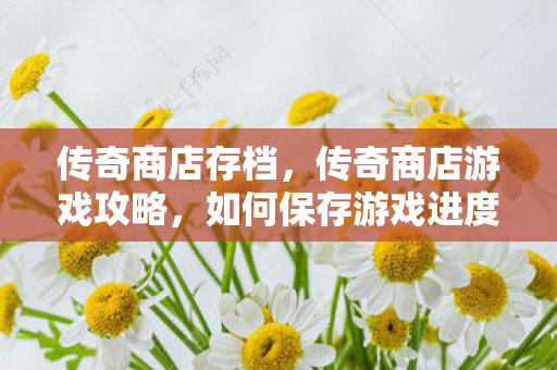 传奇商店存档，传奇商店游戏攻略，如何保存游戏进度