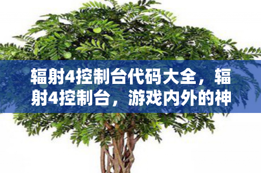 辐射4控制台代码大全，辐射4控制台，游戏内外的神秘力量