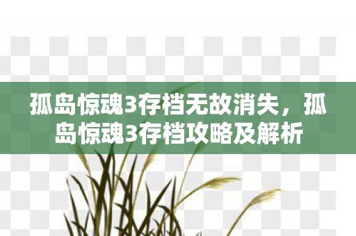孤岛惊魂3存档无故消失，孤岛惊魂3存档攻略及解析