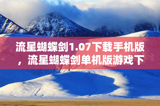 流星蝴蝶剑1.07下载手机版，流星蝴蝶剑单机版游戏下载攻略，寻找1.07版本的新体验