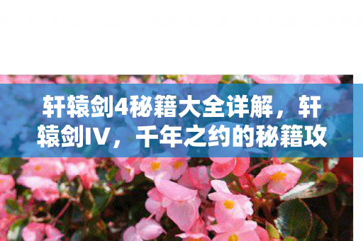 轩辕剑4秘籍大全详解，轩辕剑IV，千年之约的秘籍攻略