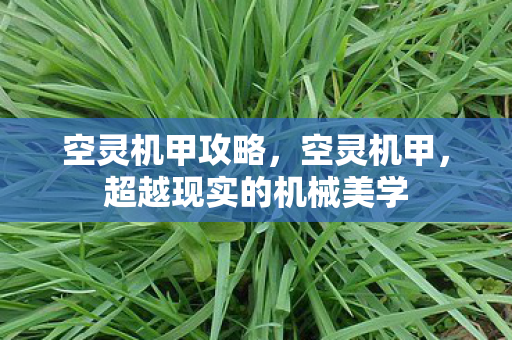 空灵机甲攻略，空灵机甲，超越现实的机械美学