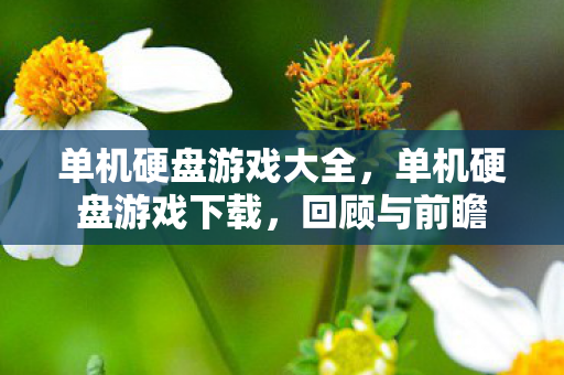 单机硬盘游戏大全，单机硬盘游戏下载，回顾与前瞻