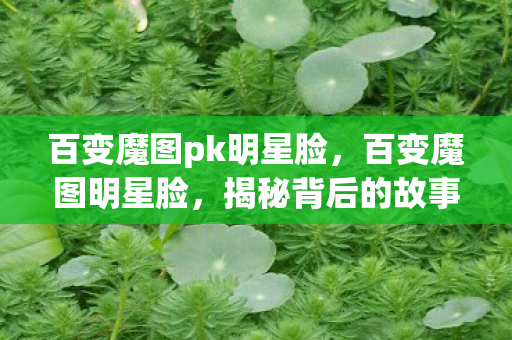 百变魔图pk明星脸，百变魔图明星脸，揭秘背后的故事与秘密