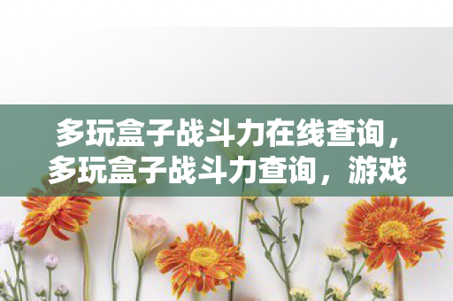 多玩盒子战斗力在线查询，多玩盒子战斗力查询，游戏世界的实力见证