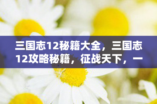 三国志12秘籍大全，三国志12攻略秘籍，征战天下，一统江山！