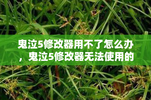 鬼泣5修改器用不了怎么办，鬼泣5修改器无法使用的问题解析与解决方案