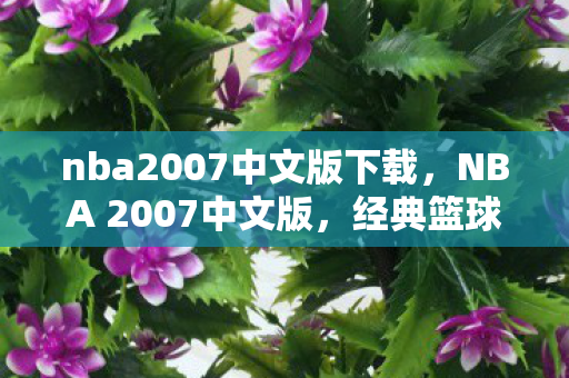nba2007中文版下载，NBA 2007中文版，经典篮球游戏的魅力与传奇故事