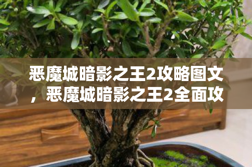 恶魔城暗影之王2攻略图文，恶魔城暗影之王2全面攻略