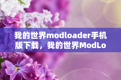 我的世界modloader手机版下载，我的世界ModLoader，探索自定义游戏世界的无限可能