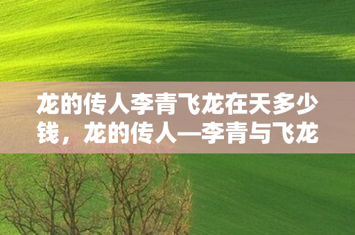 龙的传人李青飞龙在天多少钱，龙的传人—李青与飞龙在天的传奇故事