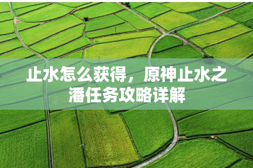 止水怎么获得，原神止水之潘任务攻略详解