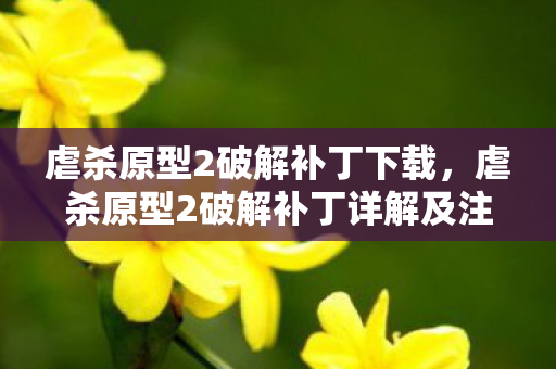 虐杀原型2破解补丁下载，虐杀原型2破解补丁详解及注意事项