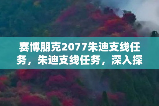 赛博朋克2077朱迪支线任务，朱迪支线任务，深入探索游戏世界的隐秘之旅
