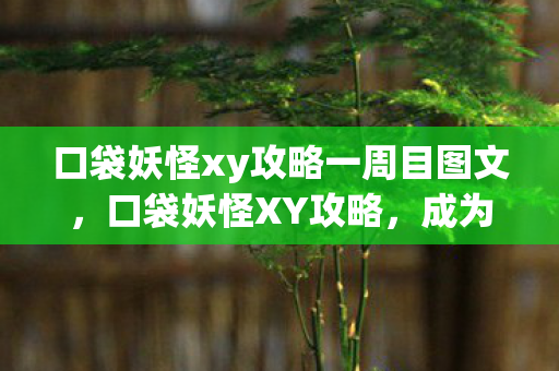 口袋妖怪xy攻略一周目图文，口袋妖怪XY攻略，成为大师训练家的秘诀