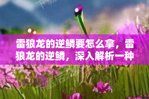 雷狼龙的逆鳞要怎么拿，雷狼龙的逆鳞，深入解析一种神秘生物的独特魅力与挑战