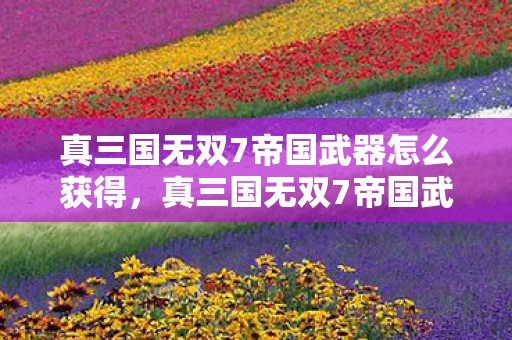 真三国无双7帝国武器怎么获得，真三国无双7帝国武器深度解析