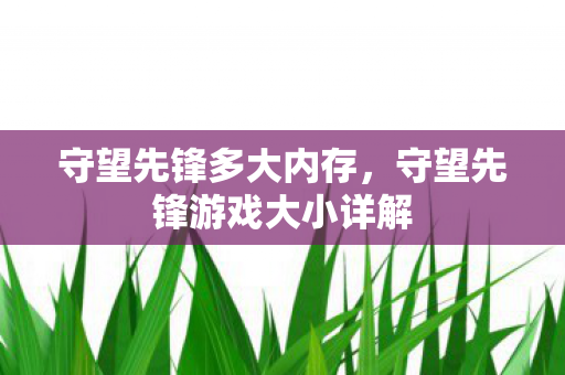 守望先锋多大内存，守望先锋游戏大小详解