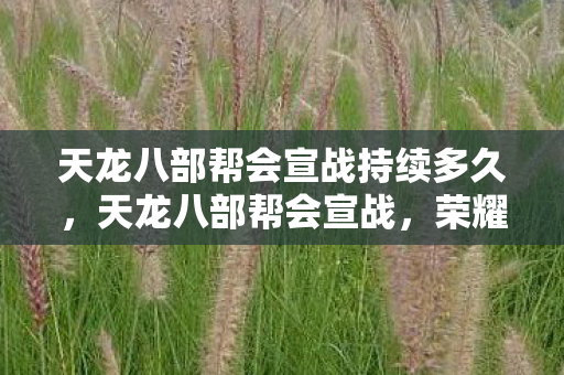 天龙八部帮会宣战持续多久，天龙八部帮会宣战，荣耀与战火交织的江湖传奇