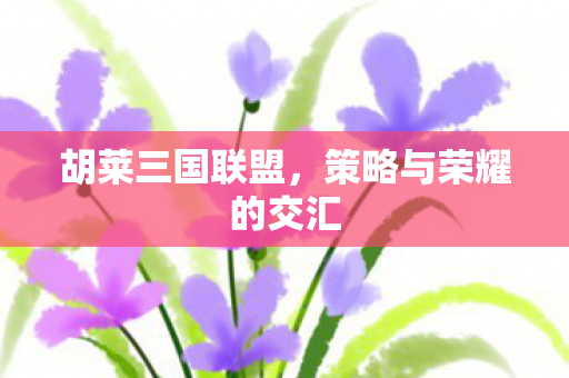 胡莱三国联盟，策略与荣耀的交汇