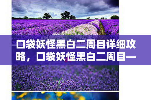 口袋妖怪黑白二周目详细攻略，口袋妖怪黑白二周目—新的挑战与未知之旅