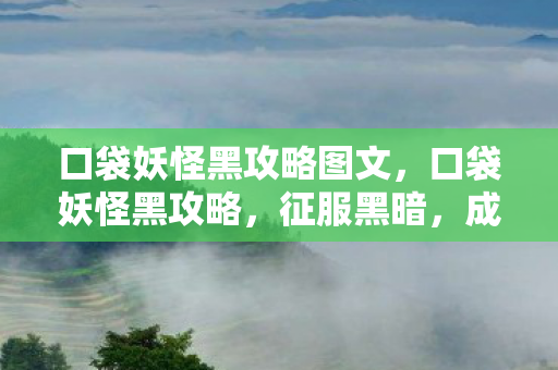 口袋妖怪黑攻略图文，口袋妖怪黑攻略，征服黑暗，成为训练大师！