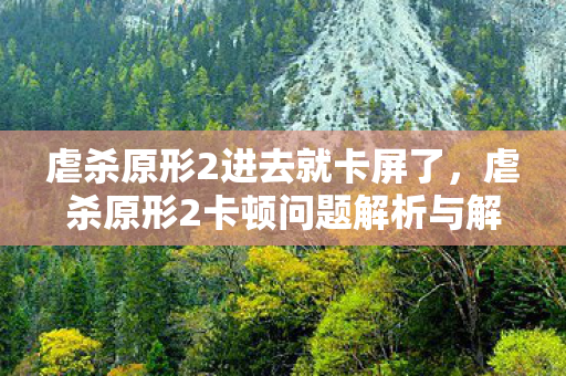 虐杀原形2进去就卡屏了，虐杀原形2卡顿问题解析与解决方案