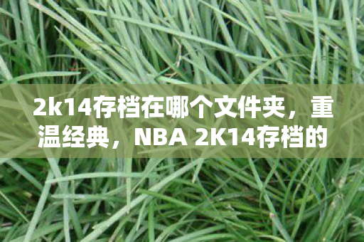 2k14存档在哪个文件夹，重温经典，NBA 2K14存档的魅力与回忆