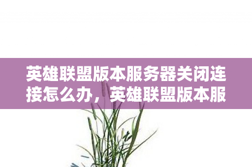 英雄联盟版本服务器关闭连接怎么办，英雄联盟版本服务器关闭连接，背后的原因与应对策略