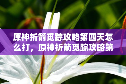 原神折箭觅踪攻略第四天怎么打，原神折箭觅踪攻略第四天