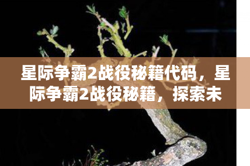 星际争霸2战役秘籍代码，星际争霸2战役秘籍，探索未知的宇宙战场