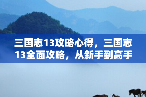 三国志13攻略心得，三国志13全面攻略，从新手到高手的进阶之路