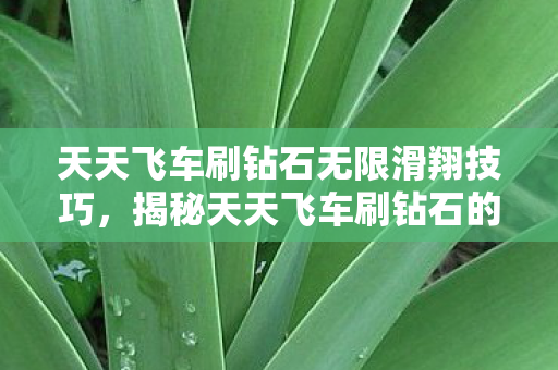 天天飞车刷钻石无限滑翔技巧，揭秘天天飞车刷钻石的真相与策略