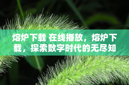 熔炉下载 在线播放，熔炉下载，探索数字时代的无尽知识宝库
