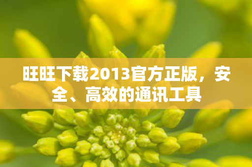 旺旺下载2013官方正版，安全、高效的通讯工具