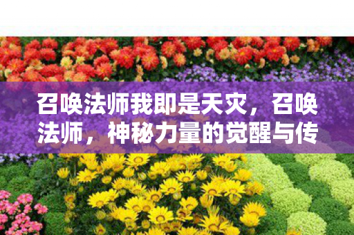 召唤法师我即是天灾，召唤法师，神秘力量的觉醒与传承