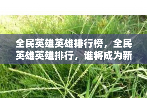 全民英雄英雄排行榜，全民英雄英雄排行，谁将成为新时代的荣耀之星？