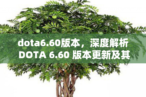 dota6.60版本，深度解析 DOTA 6.60 版本更新及其影响